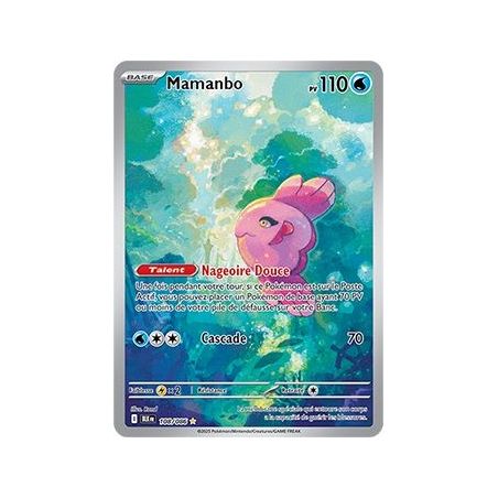 Carte à Collectionner - Pokémon