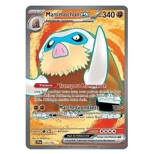 Carte à Collectionner - Pokémon