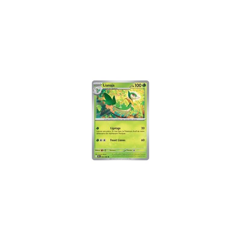 Carte à Collectionner - Pokémon