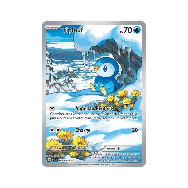 Carte à Collectionner - Pokémon