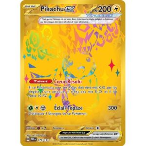 Carte à Collectionner - Pokémon
