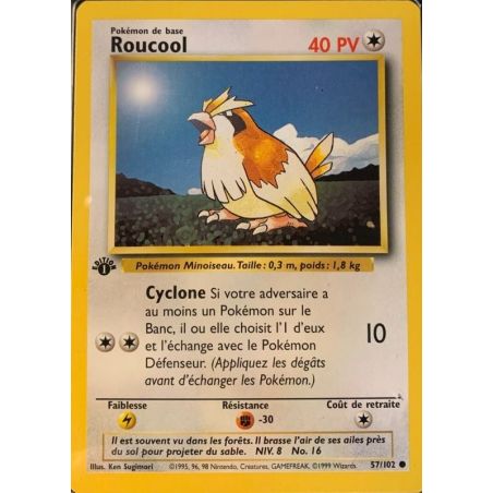 Carte à Collectionner - Pokémon