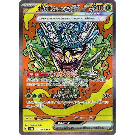 Carte à Collectionner - Pokémon