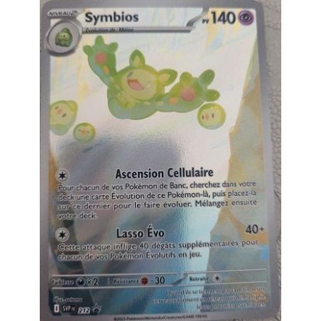 Carte à Collectionner - Pokémon