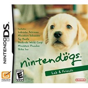 Nintendo DS
