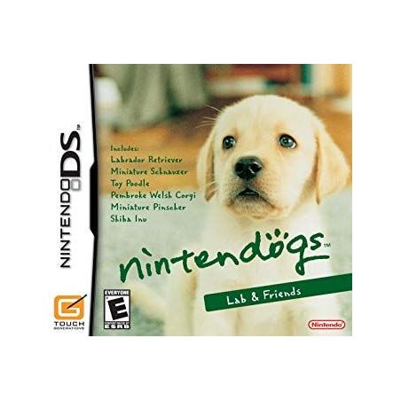 Nintendo DS