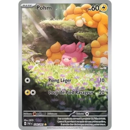 Carte à Collectionner - Pokémon