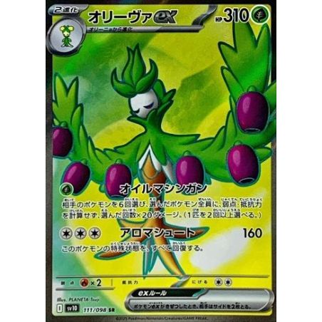 Carte à Collectionner - Pokémon