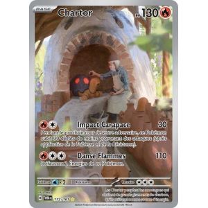 Carte à Collectionner - Pokémon