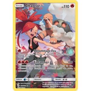 Carte à Collectionner - Pokémon