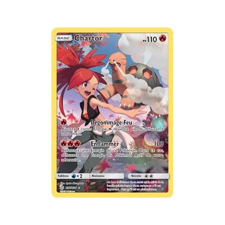 Carte à Collectionner - Pokémon