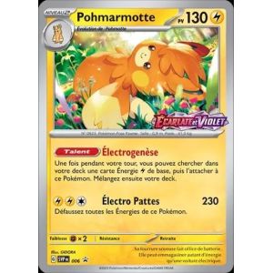 Carte à Collectionner - Pokémon