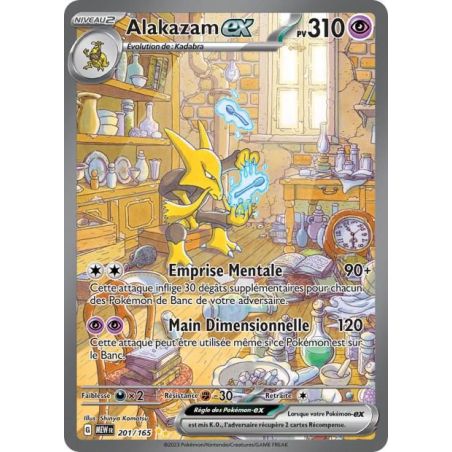 Carte à Collectionner - Pokémon