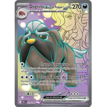 Carte à Collectionner - Pokémon