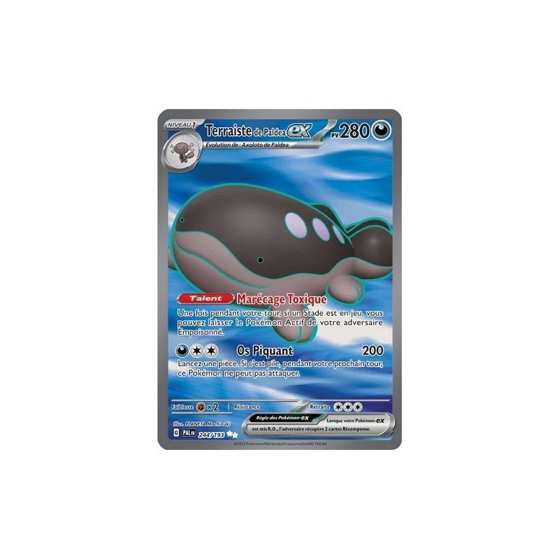Carte à Collectionner - Pokémon