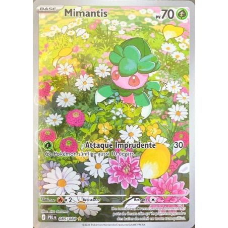 Carte à Collectionner - Pokémon