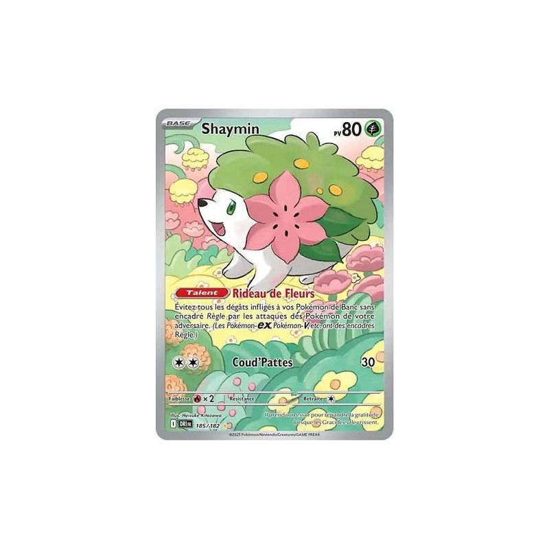 Carte à Collectionner - Pokémon