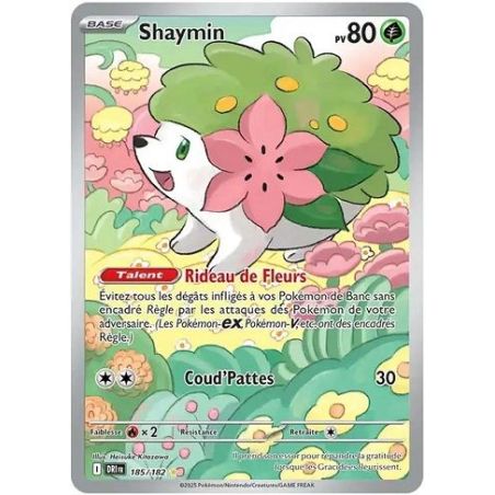 Carte à Collectionner - Pokémon