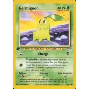 Carte à Collectionner - Pokémon