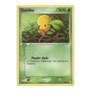 Carte à Collectionner - Pokémon