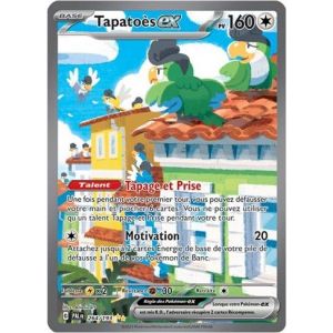Carte à Collectionner - Pokémon