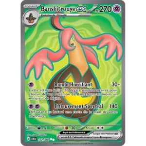 Carte à Collectionner - Pokémon