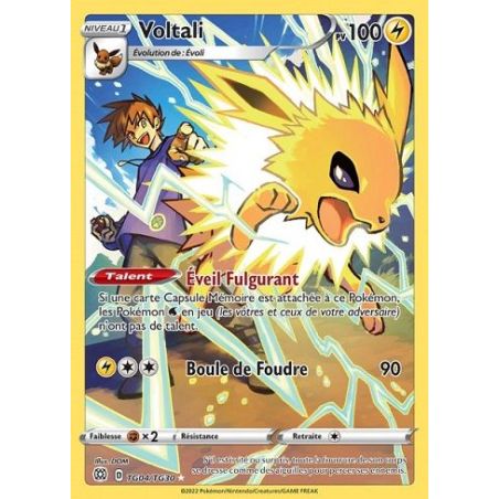 Carte à Collectionner - Pokémon