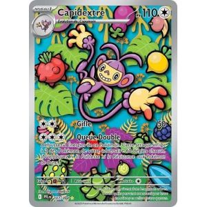 Carte à Collectionner - Pokémon